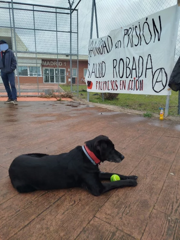 Perro junto a pancarta anticarcelaria en Alcalá-Meco